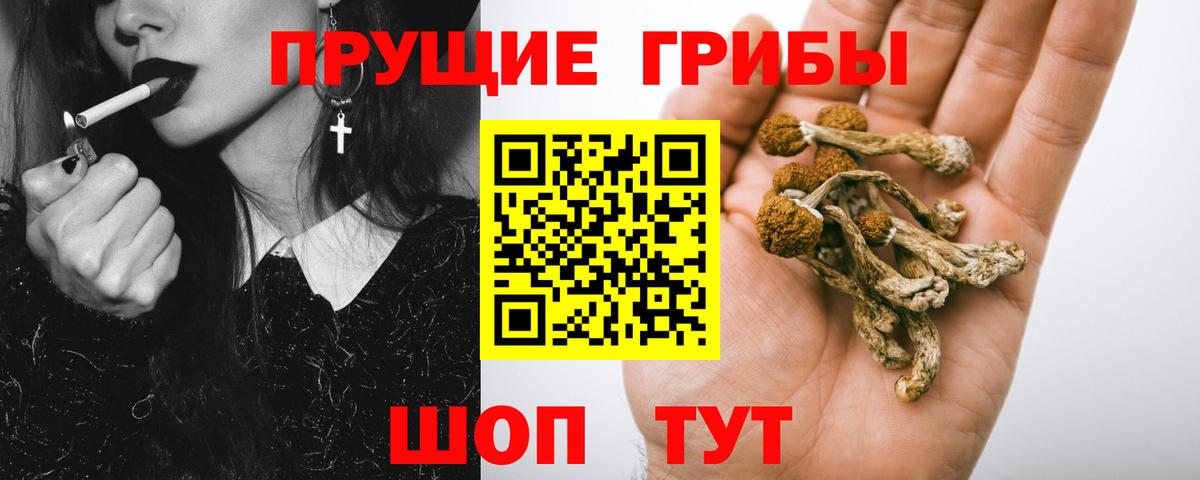 Псилоцибиновые грибы мицелий  Псилоцибиновые грибы Magic Shrooms  Вход с VPN  Азов 